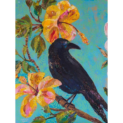 Hawaiian Bird I Black Modern Wood Framed Art Print with Double Matting by St. Hilaire, Elizabeth