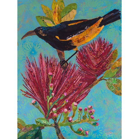 Hawaiian Bird III White Modern Wood Framed Art Print by St. Hilaire, Elizabeth