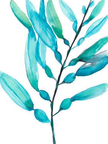 Watercolor Kelp I White Modern Wood Framed Art Print with Double Matting by Goldberger, Jennifer