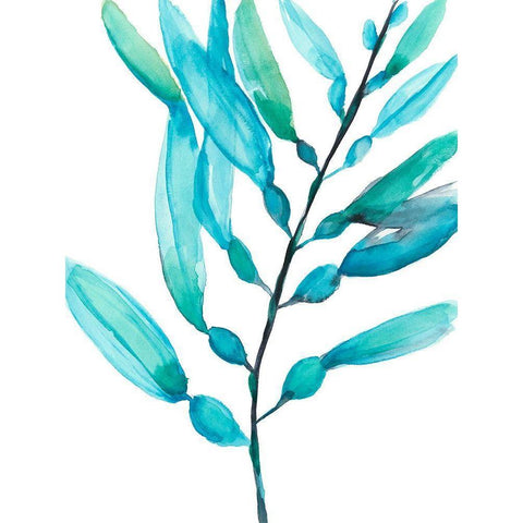 Watercolor Kelp I Black Modern Wood Framed Art Print with Double Matting by Goldberger, Jennifer