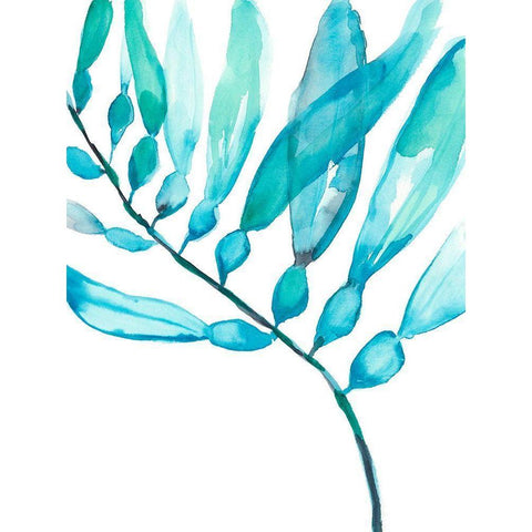 Watercolor Kelp II Black Modern Wood Framed Art Print with Double Matting by Goldberger, Jennifer