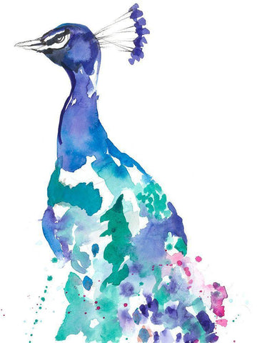 Peacock Splash II White Modern Wood Framed Art Print with Double Matting by Goldberger, Jennifer