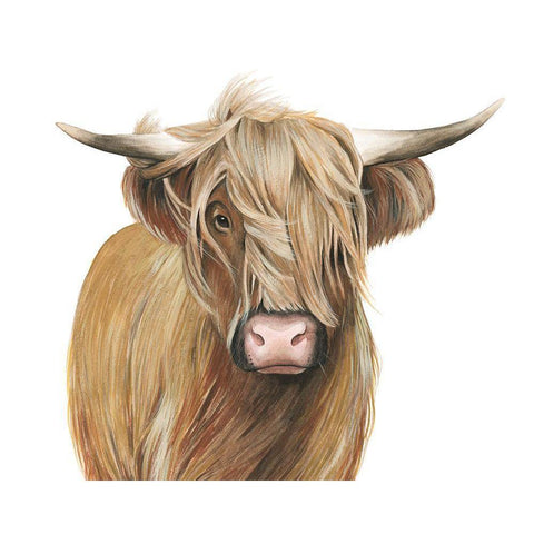 Highland Cattle I Black Modern Wood Framed Art Print by Popp, Grace