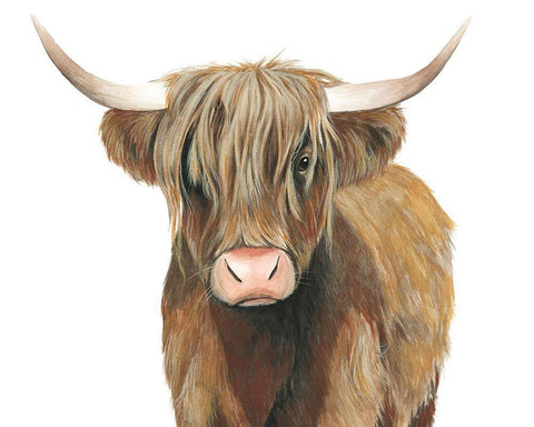Highland Cattle II Black Ornate Wood Framed Art Print with Double Matting by Popp, Grace
