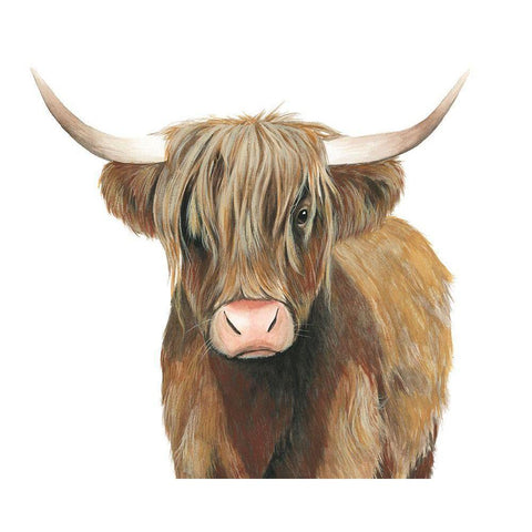 Highland Cattle II Black Modern Wood Framed Art Print with Double Matting by Popp, Grace