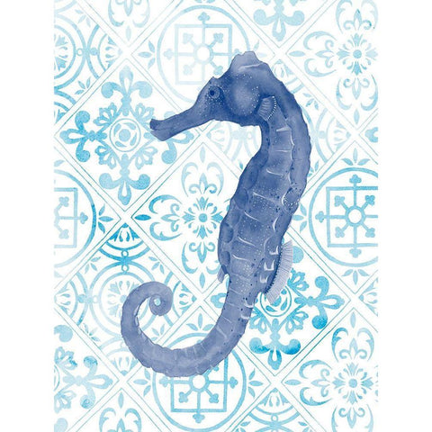 Marine Morocco I Black Modern Wood Framed Art Print with Double Matting by Popp, Grace