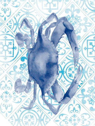 Marine Morocco V White Modern Wood Framed Art Print with Double Matting by Popp, Grace