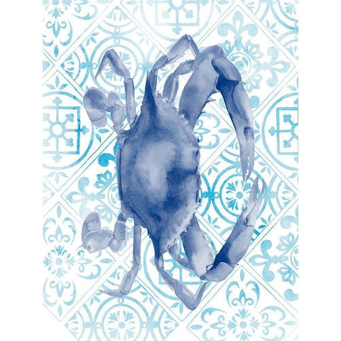 Marine Morocco V Black Modern Wood Framed Art Print by Popp, Grace