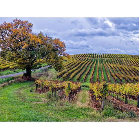 Pastoral Countryside I Black Modern Wood Framed Art Print with Double Matting by Chester, Colby