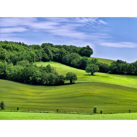 Pastoral Countryside II Black Modern Wood Framed Art Print by Chester, Colby