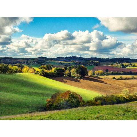 Pastoral Countryside III Black Modern Wood Framed Art Print by Chester, Colby