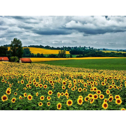 Pastoral Countryside IV Gold Ornate Wood Framed Art Print with Double Matting by Chester, Colby