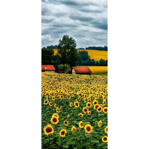 Pastoral Countryside IV - A Black Modern Wood Framed Art Print with Double Matting by Chester, Colby