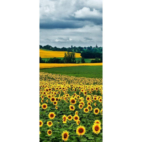 Pastoral Countryside IV - B Black Modern Wood Framed Art Print by Chester, Colby