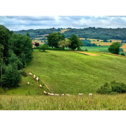 Pastoral Countryside V Black Modern Wood Framed Art Print with Double Matting by Chester, Colby