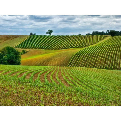 Pastoral Countryside VI Black Modern Wood Framed Art Print with Double Matting by Chester, Colby