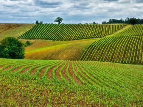 Pastoral Countryside VI White Modern Wood Framed Art Print with Double Matting by Chester, Colby