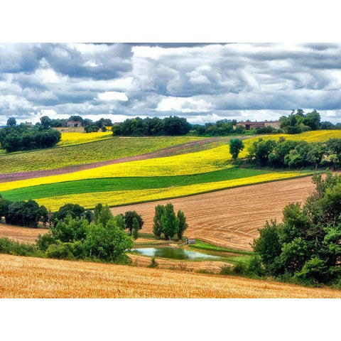 Pastoral Countryside VIII Black Modern Wood Framed Art Print by Chester, Colby