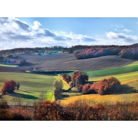 Pastoral Countryside IX White Modern Wood Framed Art Print by Chester, Colby