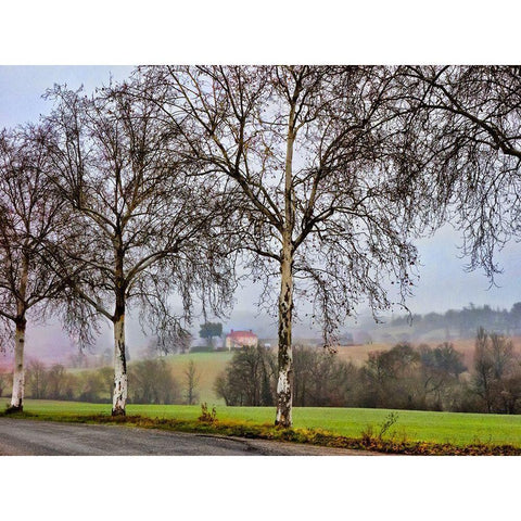 Pastoral Countryside XI White Modern Wood Framed Art Print by Chester, Colby