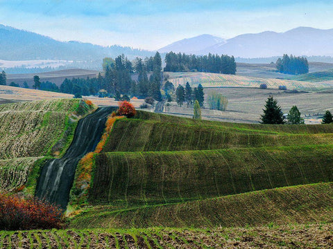 Pastoral Countryside XIII White Modern Wood Framed Art Print with Double Matting by Chester, Colby