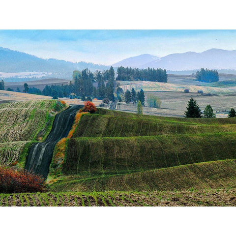 Pastoral Countryside XIII Black Modern Wood Framed Art Print with Double Matting by Chester, Colby