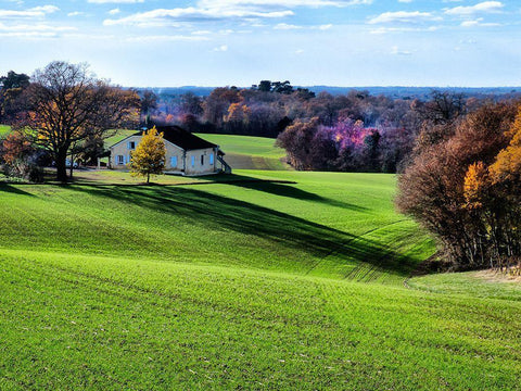 Pastoral Countryside XV White Modern Wood Framed Art Print with Double Matting by Chester, Colby