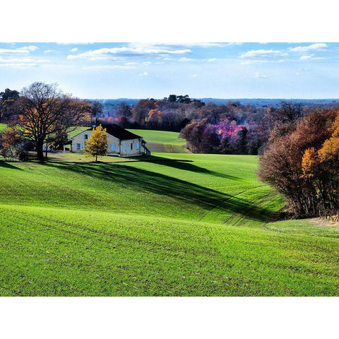 Pastoral Countryside XV White Modern Wood Framed Art Print by Chester, Colby