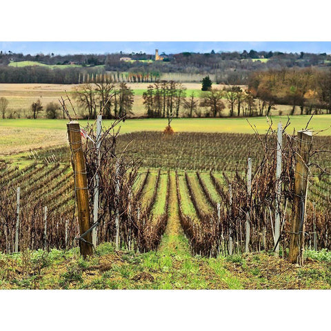 Pastoral Countryside XVI Gold Ornate Wood Framed Art Print with Double Matting by Chester, Colby