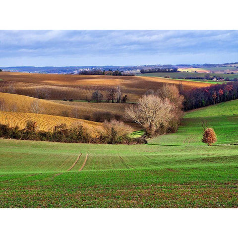 Pastoral Countryside XVII Black Modern Wood Framed Art Print with Double Matting by Chester, Colby