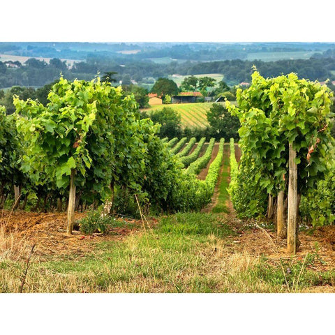 Pastoral Countryside XIX Black Modern Wood Framed Art Print with Double Matting by Chester, Colby