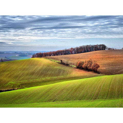 Pastoral Countryside XX Black Modern Wood Framed Art Print by Chester, Colby