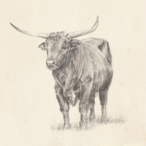 Longhorn Steer Sketch I White Modern Wood Framed Art Print by Harper, Ethan