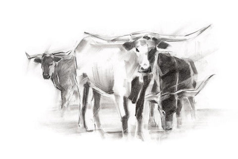 Contemporary Cattle II White Modern Wood Framed Art Print with Double Matting by Harper, Ethan