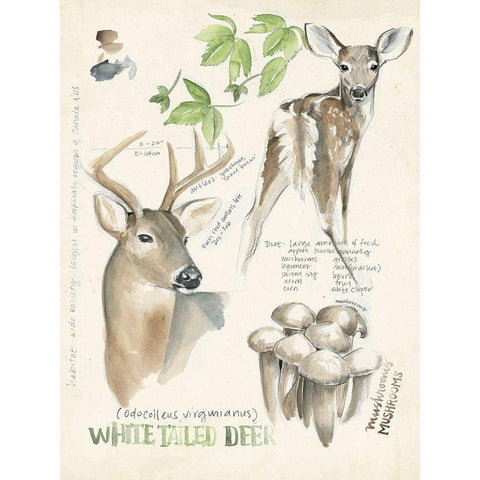 Wildlife Journals IV White Modern Wood Framed Art Print by Parker, Jennifer Paxton