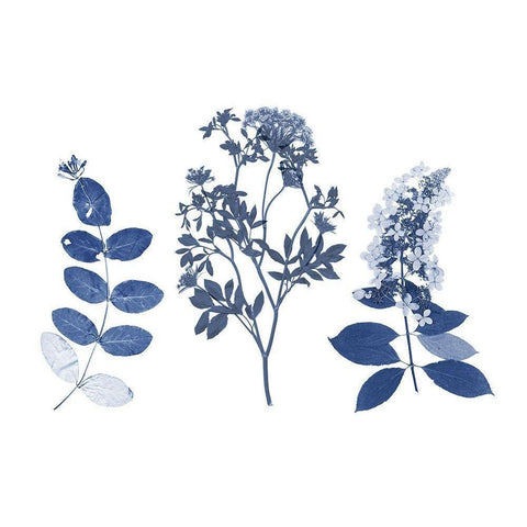 Indigo Pressed Florals I Black Modern Wood Framed Art Print by Studio W