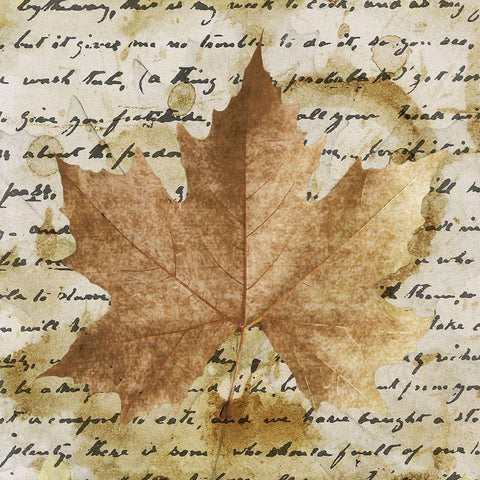 Earth Leaf I White Modern Wood Framed Art Print with Double Matting by Saunders, Alonzo