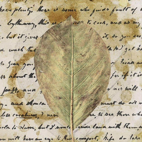 Earth Leaf II Black Modern Wood Framed Art Print by Saunders, Alonzo