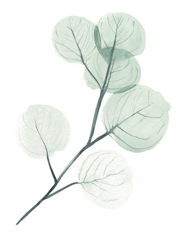 Silver Dollars II Black Ornate Wood Framed Art Print with Double Matting by Parker, Jennifer Paxton