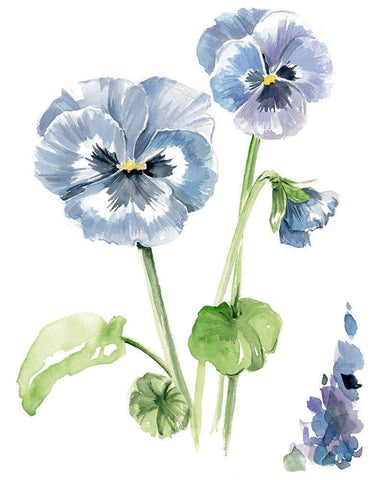 Pansy Study II White Modern Wood Framed Art Print with Double Matting by Parker, Jennifer Paxton