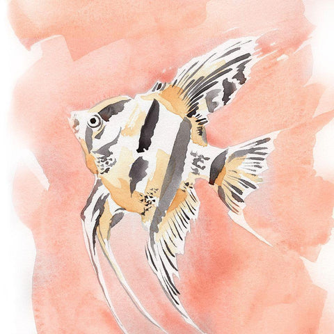 Blush and Ochre Angel Fish II Black Modern Wood Framed Art Print with Double Matting by Green, Jacob