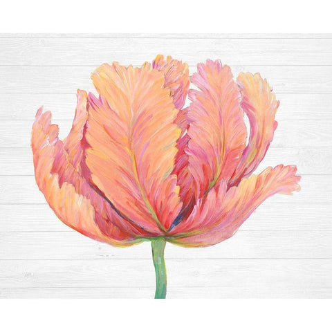 Single Pink Bloom I Black Modern Wood Framed Art Print with Double Matting by OToole, Tim