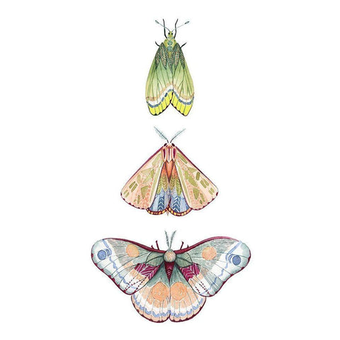 Moth Fairies II Black Modern Wood Framed Art Print by Popp, Grace