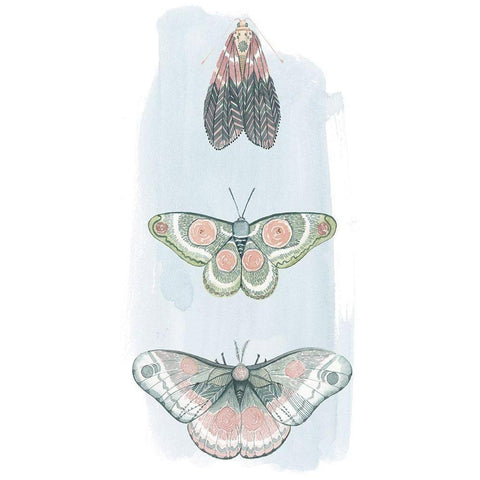 Jeweled Fairies I Gold Ornate Wood Framed Art Print with Double Matting by Popp, Grace