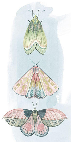 Jeweled Fairies II White Modern Wood Framed Art Print with Double Matting by Popp, Grace