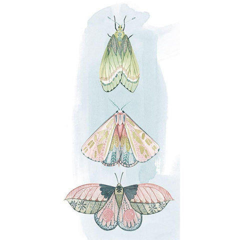 Jeweled Fairies II Black Modern Wood Framed Art Print with Double Matting by Popp, Grace