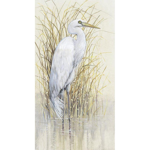 Wading I White Modern Wood Framed Art Print by OToole, Tim