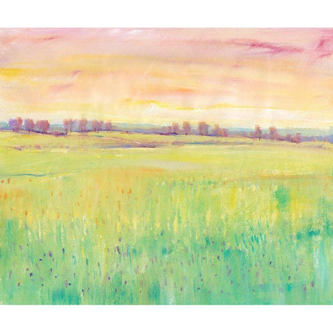 Spring Pasture I White Modern Wood Framed Art Print by OToole, Tim