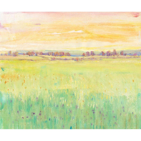 Spring Pasture II White Modern Wood Framed Art Print by OToole, Tim