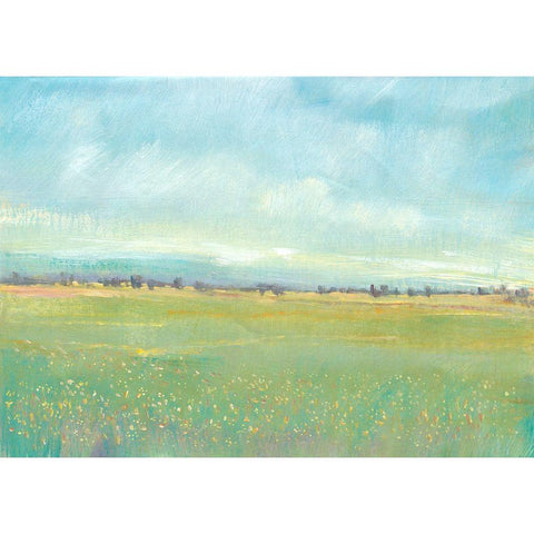 Soft Meadow Light I Black Modern Wood Framed Art Print with Double Matting by OToole, Tim